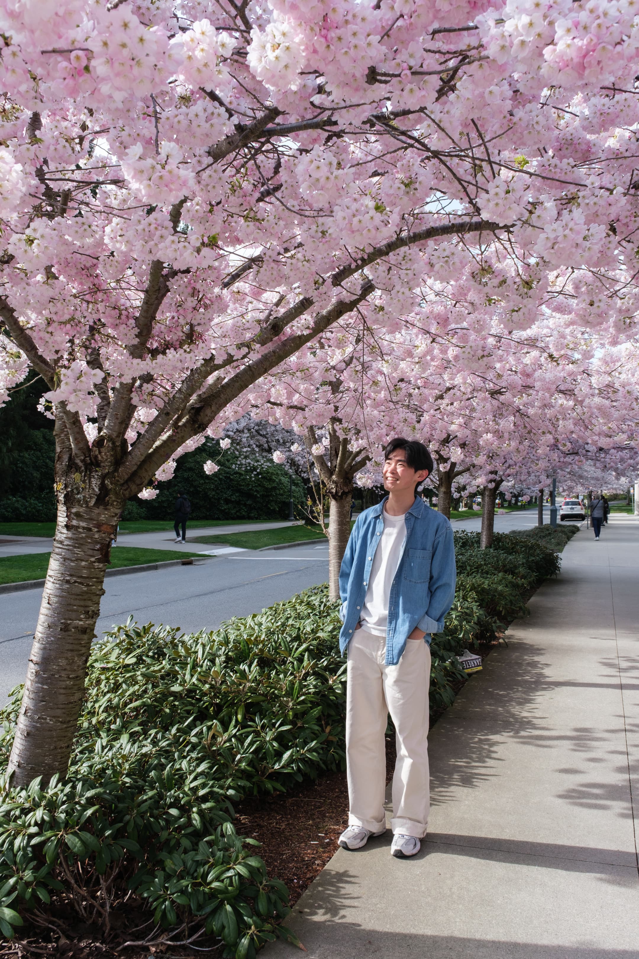 WIP - Daniel Hai - WIP